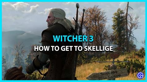 witcher 3 skellige loan.